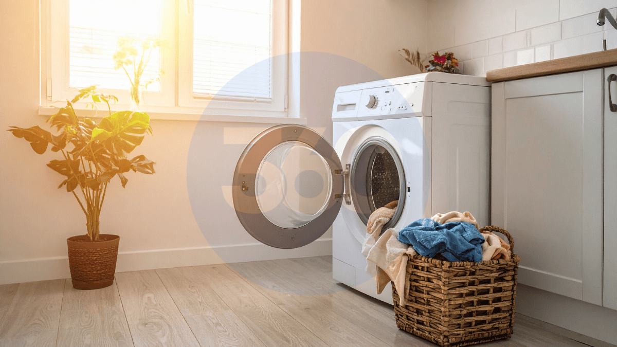 Çatalzeytin Kurutma Makinesi Servisi